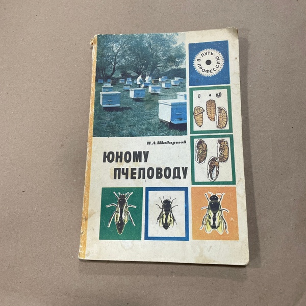 Книга "Юному пчеловоду" Шабаршов И.А. М. Просвещение 1983.-112с. – фото
