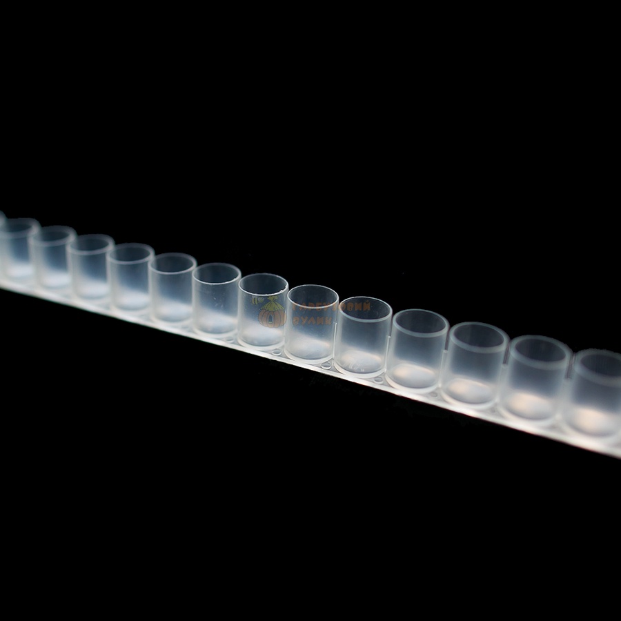 Стрічка-мисочок для маточного молочка (одинарна 33 мисочки) – фото