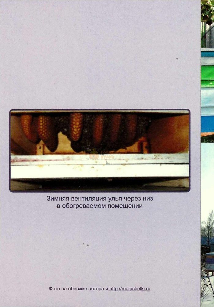 Книга "Подготовка пчел к зимовке" Корж В.Н. 2016.-116с. &ndash; фото