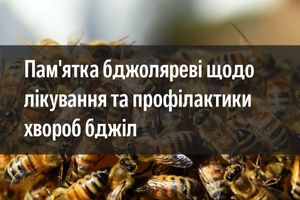 Пам'ятка бджоляреві щодо лікування та профілактики хвороб бджіл