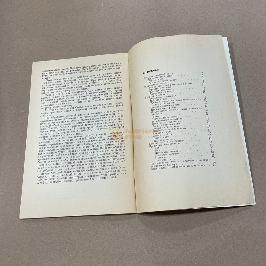 Книга "Уход за пчелами" Зарецкий Н.Н. М.Россельхозиздат 1981.-63с. – фото