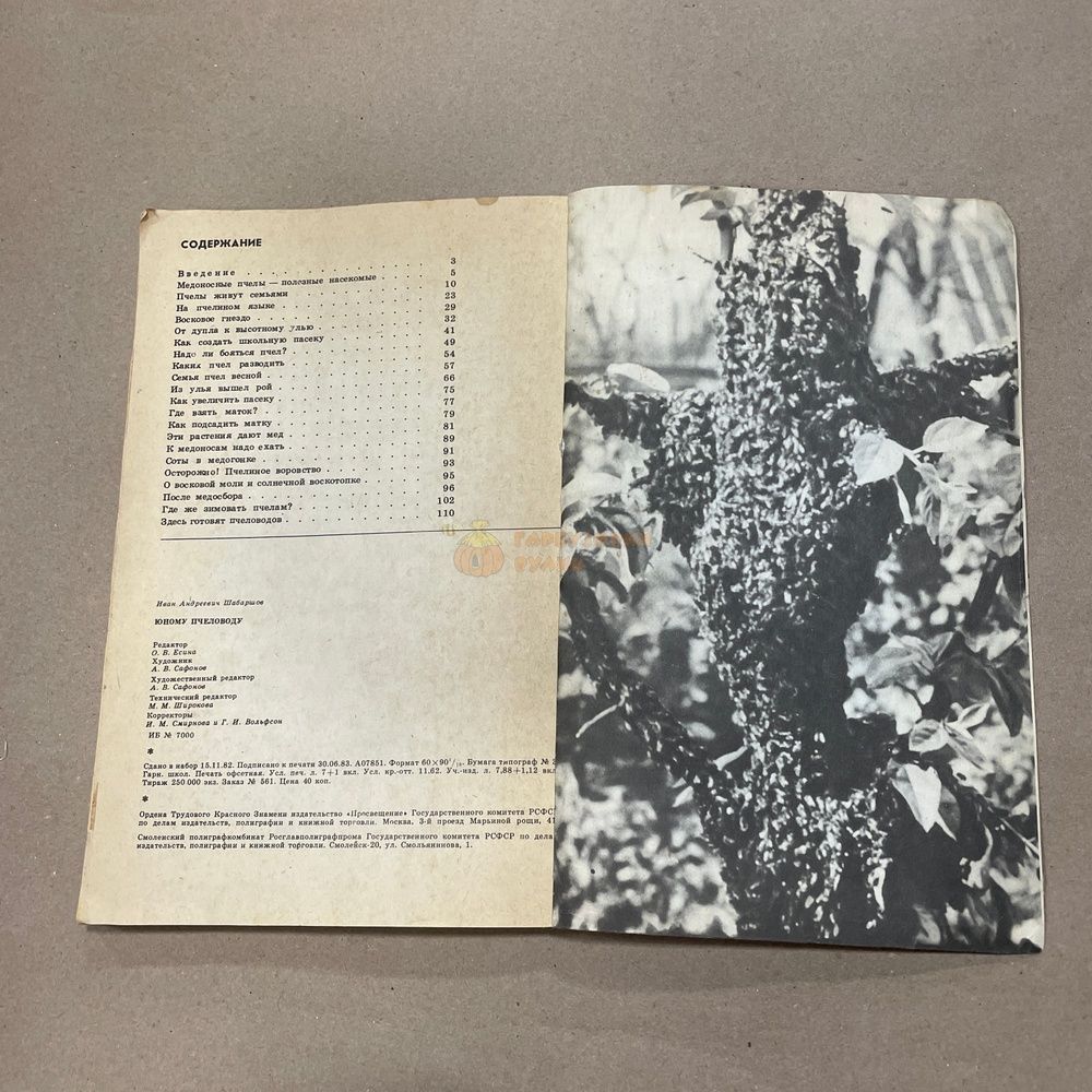 Книга "Юному пчеловоду" Шабаршов И.А. М. Просвещение 1983.-112с. &ndash; фото