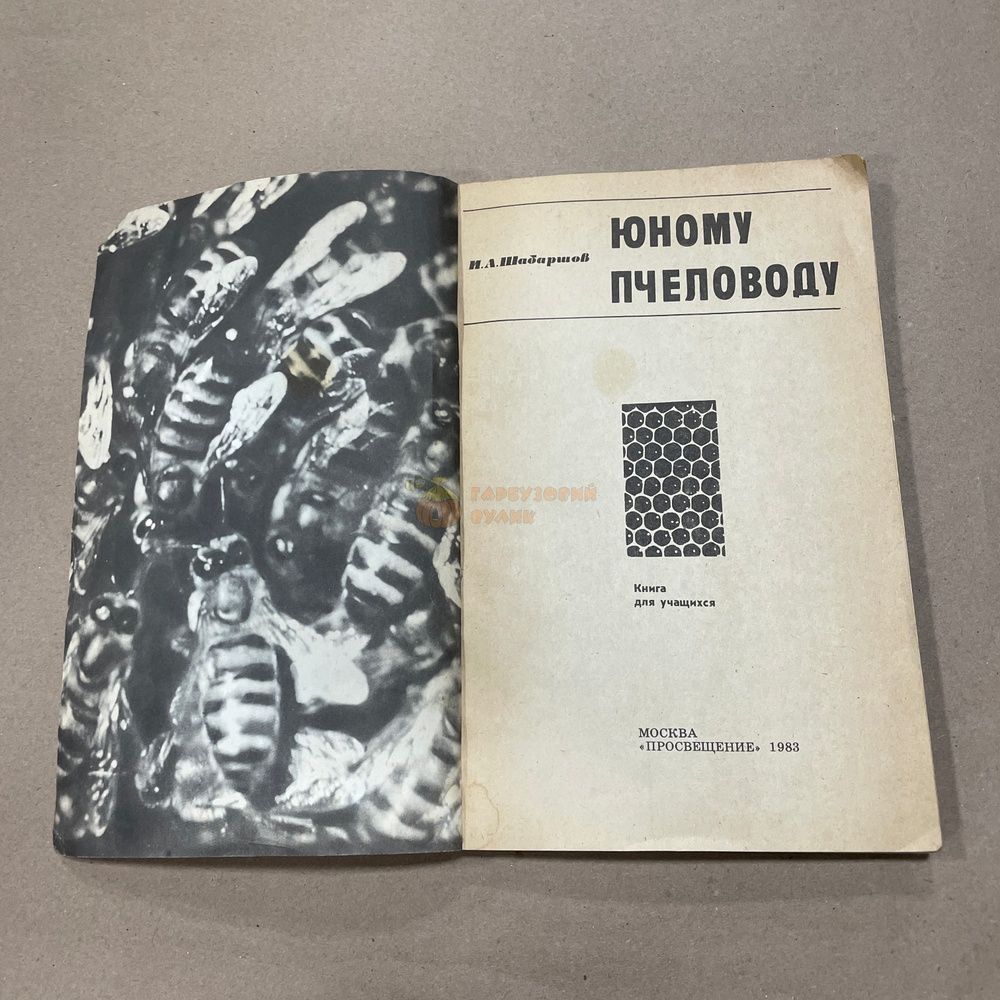 Книга "Юному пчеловоду" Шабаршов И.А. М. Просвещение 1983.-112с. &ndash; фото