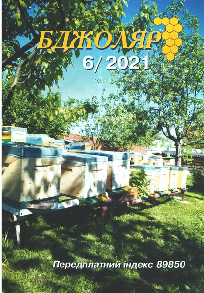 Журнал "Бджоляр" 2021 № 6 – фото