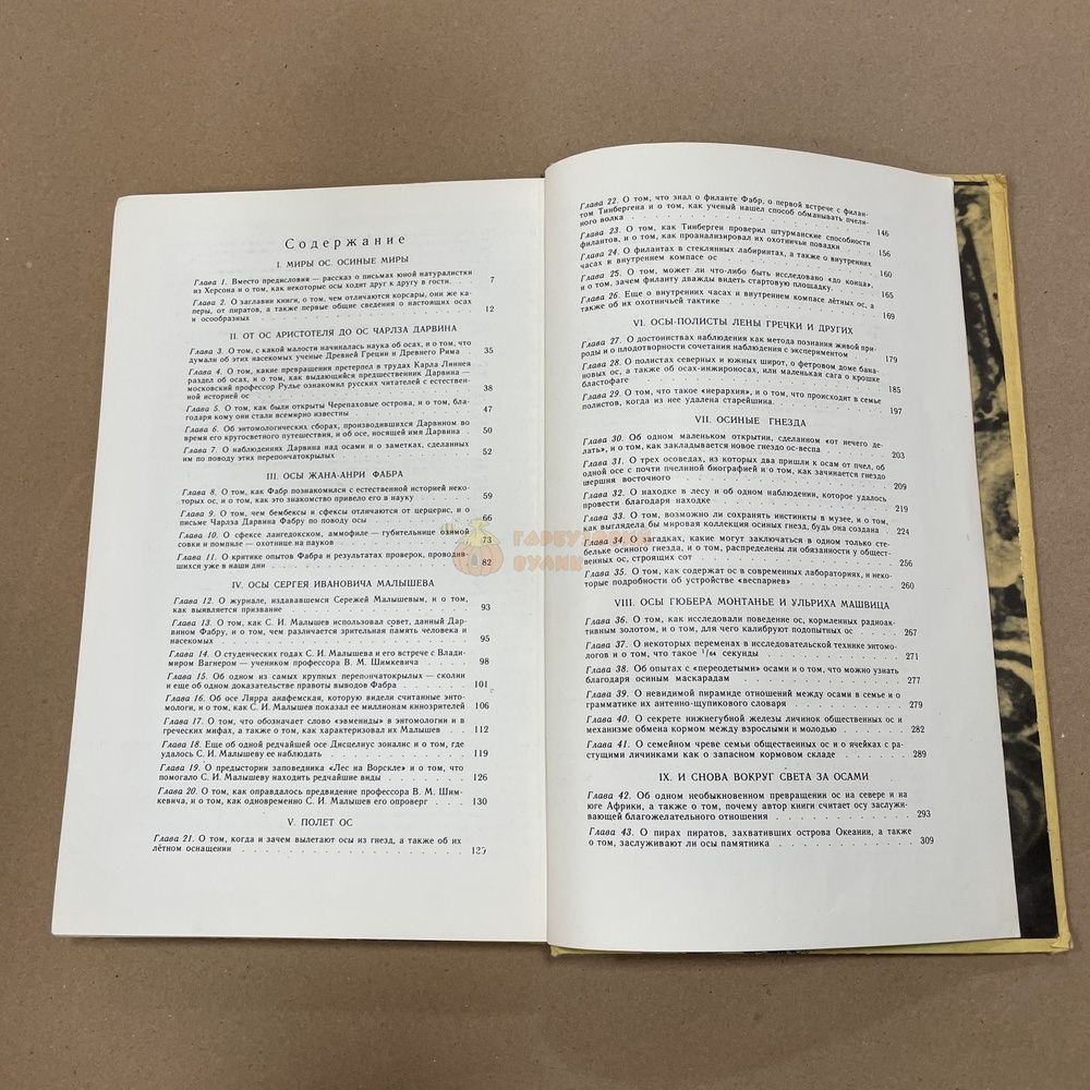 Книга "Четырехкрылые корсары" Халифман И.А. М."Детская литература" 1978.-317с. &ndash; фото