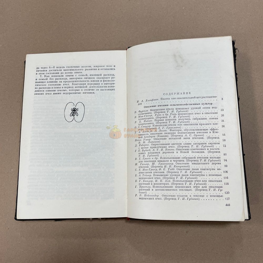 Книга "Новое в пчеловодстве" перевод статей под ред. Ефимов А.Л. М.ГИСЛ, 1958.-447с. &ndash; фото