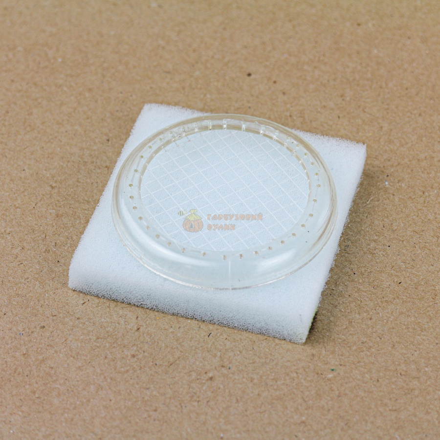 Ковпачок для мітки маток ТМ "Меліса-93" – фото