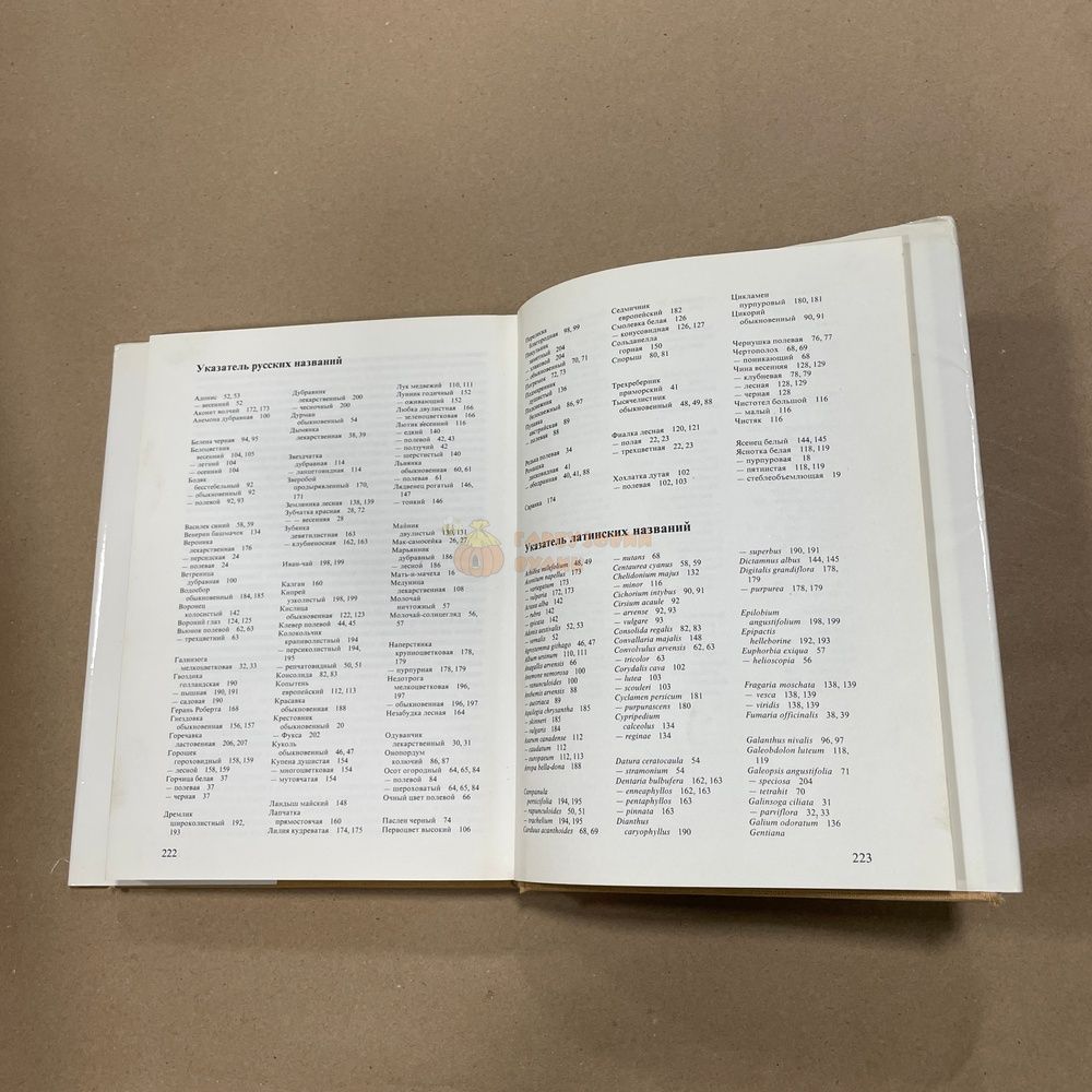 Книга "Растения полей и лесов" Вацлав Ветвичка Прага "Артия" 1987.-224с. &ndash; фото